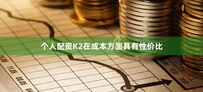 个人配资K2在成本方面具有性价比